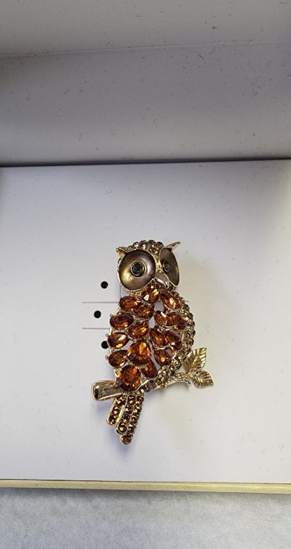 Photo 1 of CHARTER CLUB WOMEN'S OWL PIN/ GIFT BOX