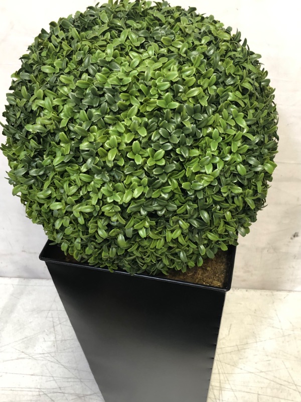 Photo 5 of Artificial Aglaia Boxwood Ball in Tall Black Tin Planter 95cm/3ft
