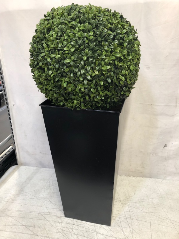 Photo 2 of Artificial Aglaia Boxwood Ball in Tall Black Tin Planter 95cm/3ft
