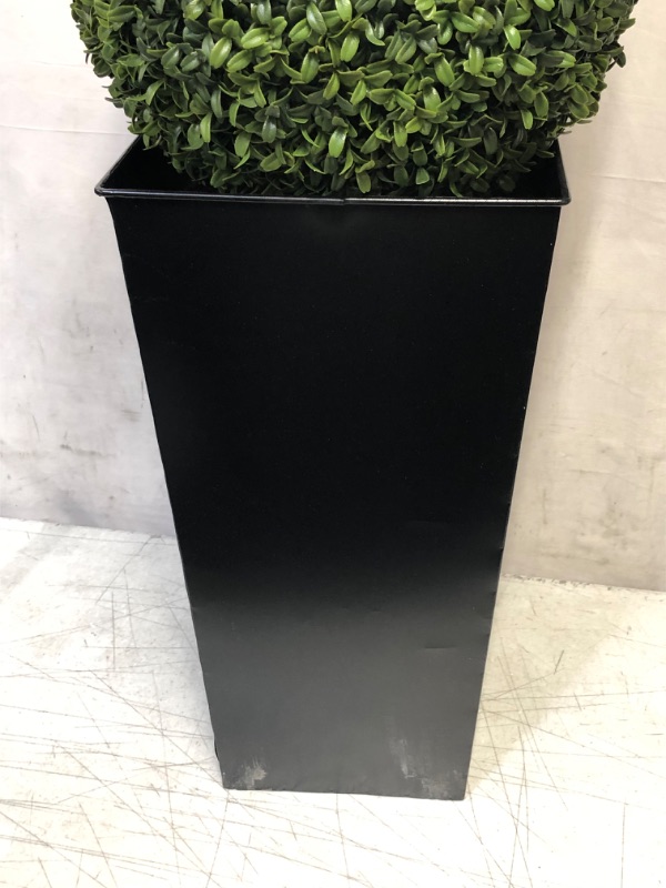 Photo 4 of Artificial Aglaia Boxwood Ball in Tall Black Tin Planter 95cm/3ft
