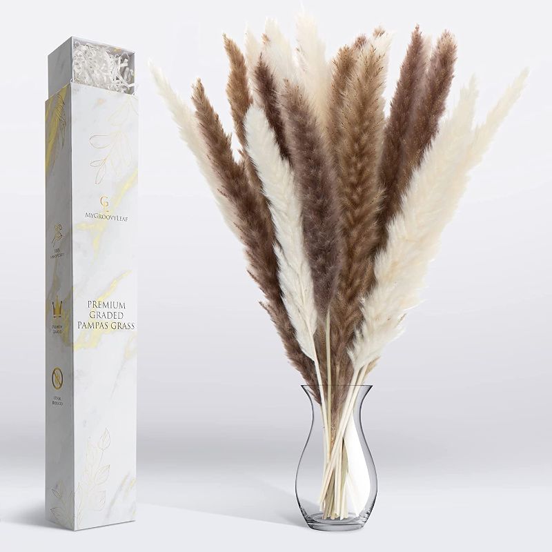 Photo 1 of 30pc Set Dried Pampas Grass Decor - Soft Fluffy Brown & White Pompous Grass Set for Vases with Prime Package, Perfect for Boho Room and Home Decor, Ideal Wedding Gift
