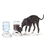 Photo 1 of AmazonBasics Large Gravity Pet Food Feeder and Water Dispenser Bundle