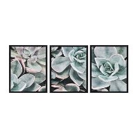 Photo 2 of 18" x 24" 3pc Sylvie Botanical Succulent Plants Framed Canvas Set by the Creative Bunch Studio Black - Kate & Laurel All Things Decor
