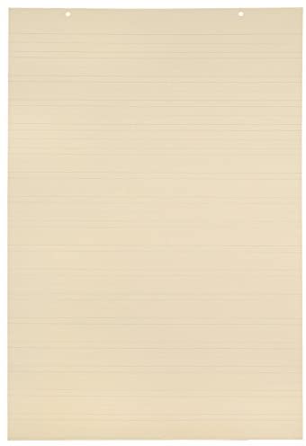 Photo 1 of School Smart Jumbo Manila Tag Ruled Chart Paper, 36 x 24 Inches, Pack of 100 - 006435
