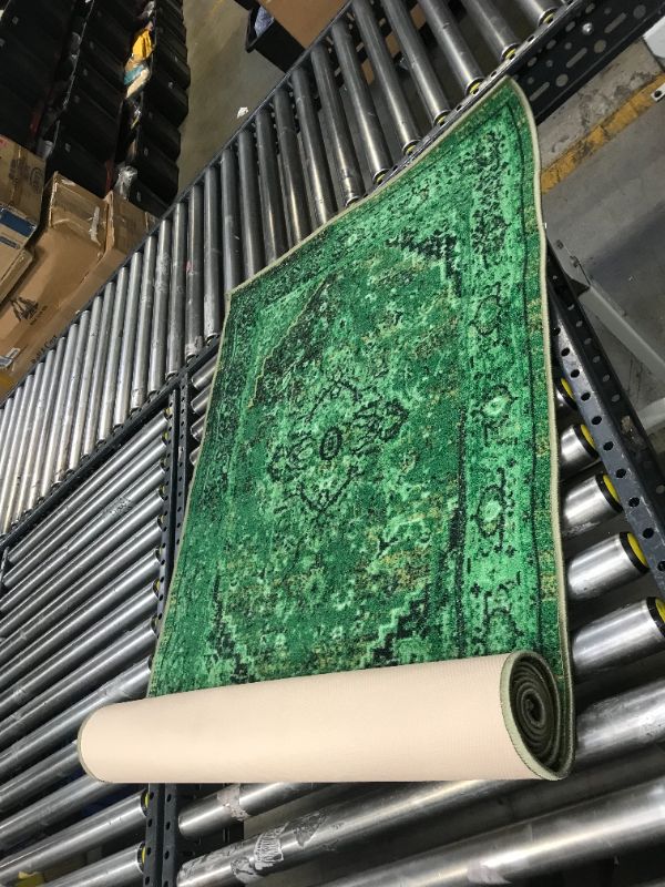 Photo 1 of 30 INCH WIDE GREEN RUNNER RUG