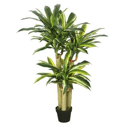 Photo 1 of Artificial Dracaena Tree