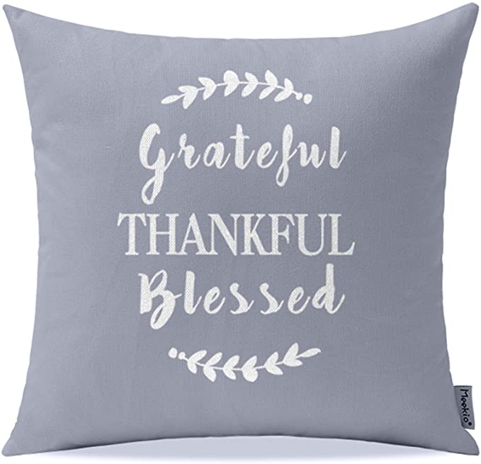 Photo 2 of 2PC LOT
Meekio Farmhouse Gray Throw Pillow Covers with Grateful Thankful Blessed Quotes 18" x 18" Farmhouse Rustic Décor Thank You Gifts
2 COUNT