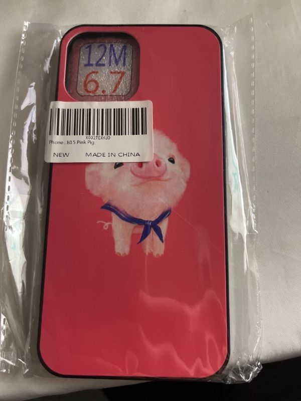 Photo 1 of IPHONE 12 MAX PHONE CASE 