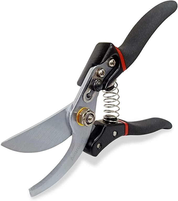 Photo 2 of 2PC LOT
Meghknow Knife sharpener 3 stage

Gardening Scissors, Pruning Scissors, Pruning Shears for Gardening, Trimming Scissors for Cannabis, Plant Shears, Gardening Shears, Pruners for Gardening, Garden Shears Pruning, Garden Shears, 8 inch.