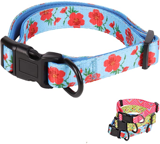 Photo 1 of 2PC LOT
Dog Collar for Small Dog,Cute Dog Collar with Quick Release Buckle Adjustable Soft Comfortable Floral Collars for Girl Dogs, 2 COUNT 
SIZE M (BOTH)