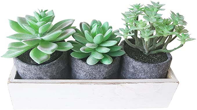 Photo 1 of Artificial Succulents Plants for Desk Decor, Fake Succulents with Wooden Tray, Shelf Decor Faux Plants, Succulents Plants Artificial for Home, Office¡­
FACTORY SEALED