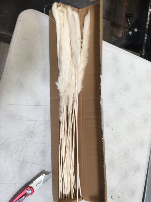 Photo 2 of 21.65" Dried Pampas Grass 30 Pcs, Natural Home Decor & Ideal for Flower Arrangements(Cream White)
