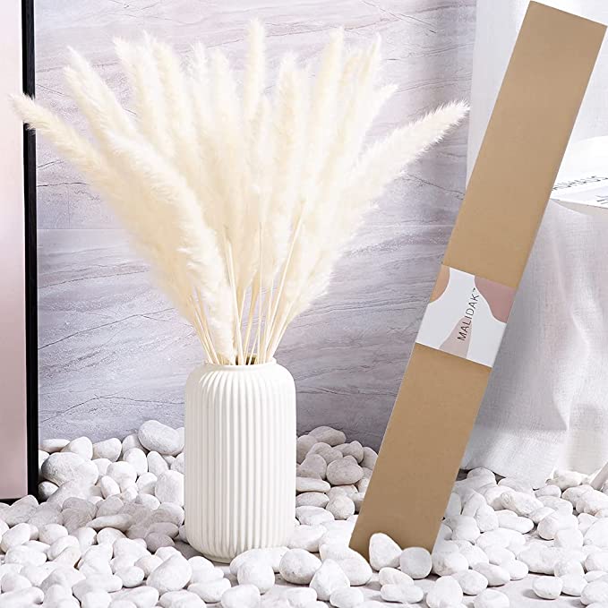Photo 1 of 21.65" Dried Pampas Grass 30 Pcs, Natural Home Decor & Ideal for Flower Arrangements(Cream White)
