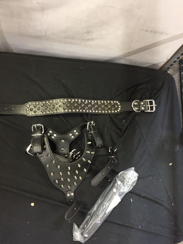 Photo 1 of 3 piece spiked dog harness, collar and leash 