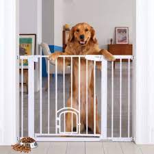 Photo 2 of Pet Safety gate with Small Pet Door