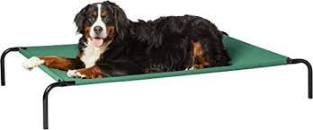 Photo 2 of Amazon Basics Cooling Elevated Pet Bed