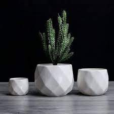 Photo 1 of AvaBellucci Nordic Bonsai Planters
