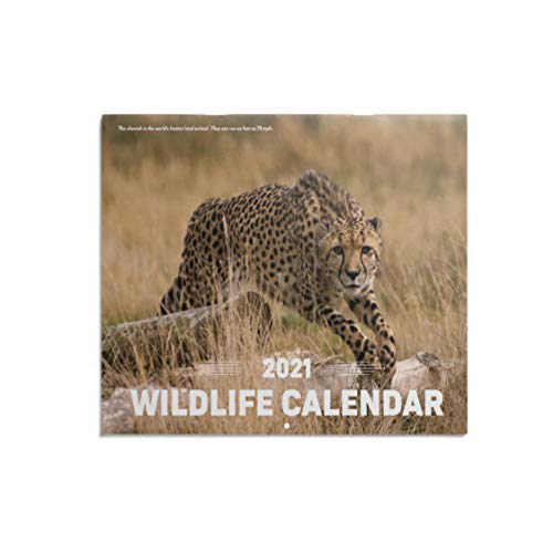 Photo 1 of 5 pack ORMAT Wildlife 2021 wall calendar 12-month wall calendar 2021 yearly wall calendar and desk calendar, premium thick paper 8.5” x 11” large monthly wall calendar 2021
