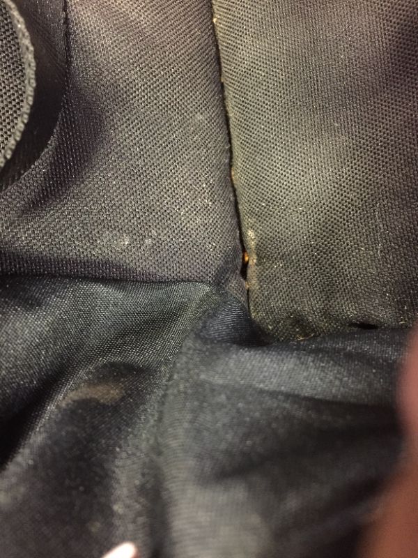 Photo 1 of CYBEX Beezy Stroller--used item 
