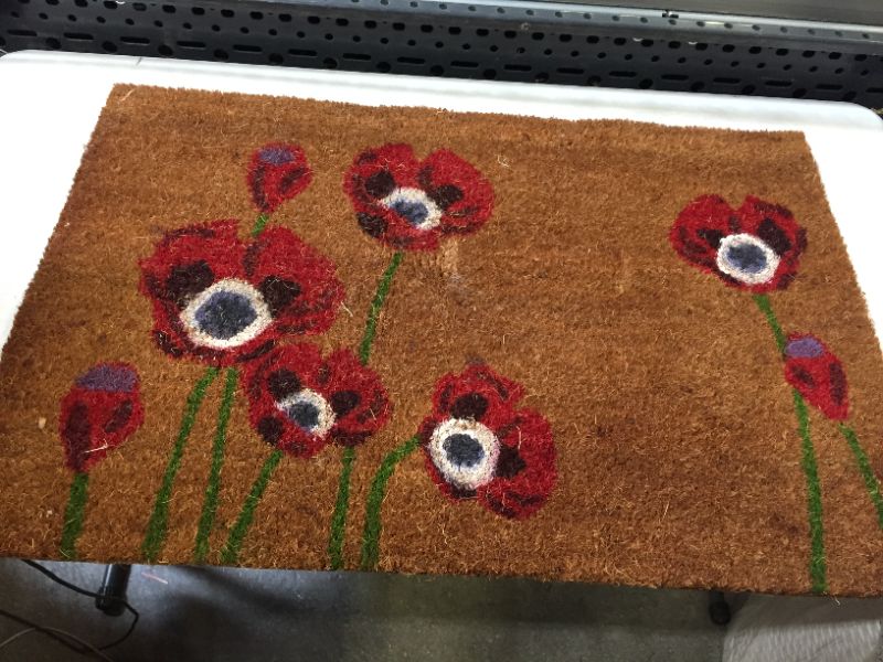 Photo 1 of Calloway Mills Red Poppies Doormat