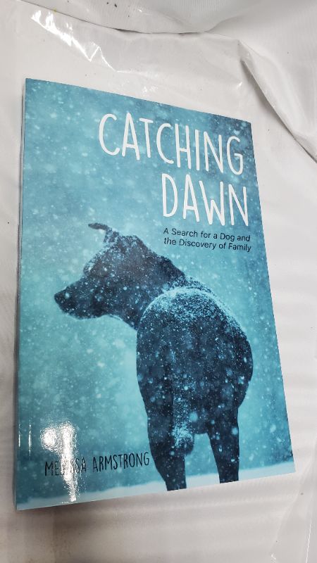 Photo 1 of Catching Dawn - by  Melissa Armstrong (Paperback)