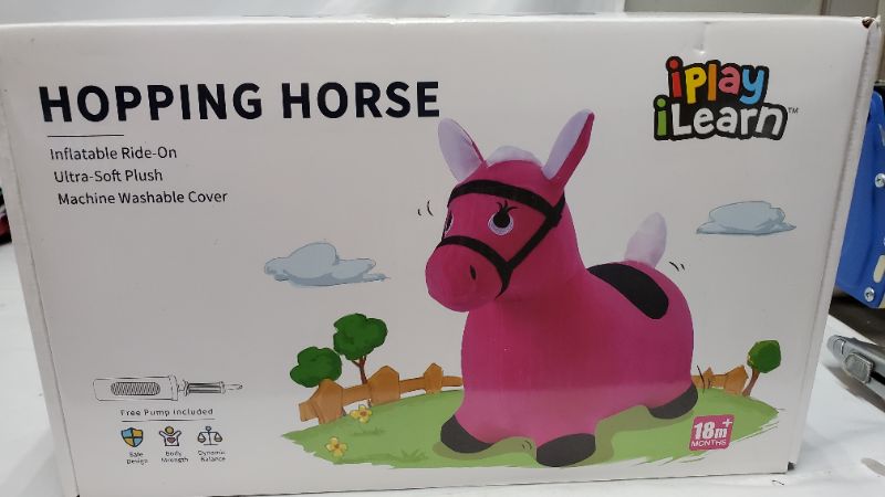 Photo 1 of HOPING HORSE TOY