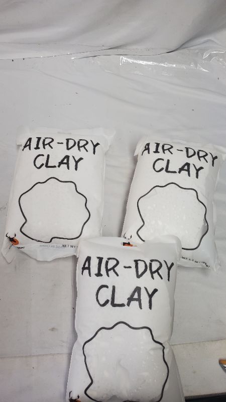 Photo 1 of AIR DRY CLAY 3 I.1LB BAGS 