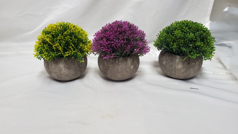 Photo 1 of 3PCS PLANT SET 