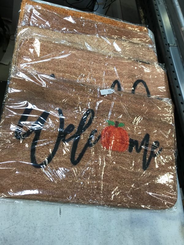 Photo 1 of Seasonal Welcome Mats 5 pack