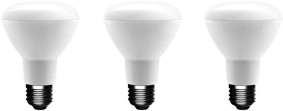 Photo 1 of EcoSmart 75-Watt Equivalent R20 Dimmable LED Light Bulb Soft White (3-Pack)
