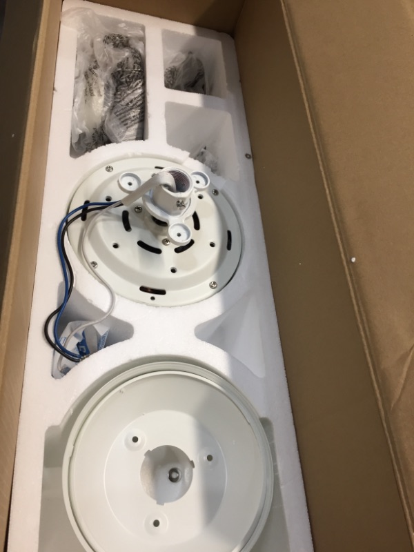 Photo 1 of Hunter Cassius 52-in White Indoor/Outdoor Ceiling Fan (3-Blade)