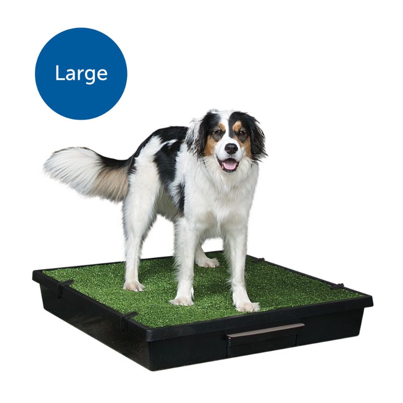 Photo 1 of Pet Loo Indoor Yard Training System, Large, Size: Large (33-Inch x 33-Inch), Green