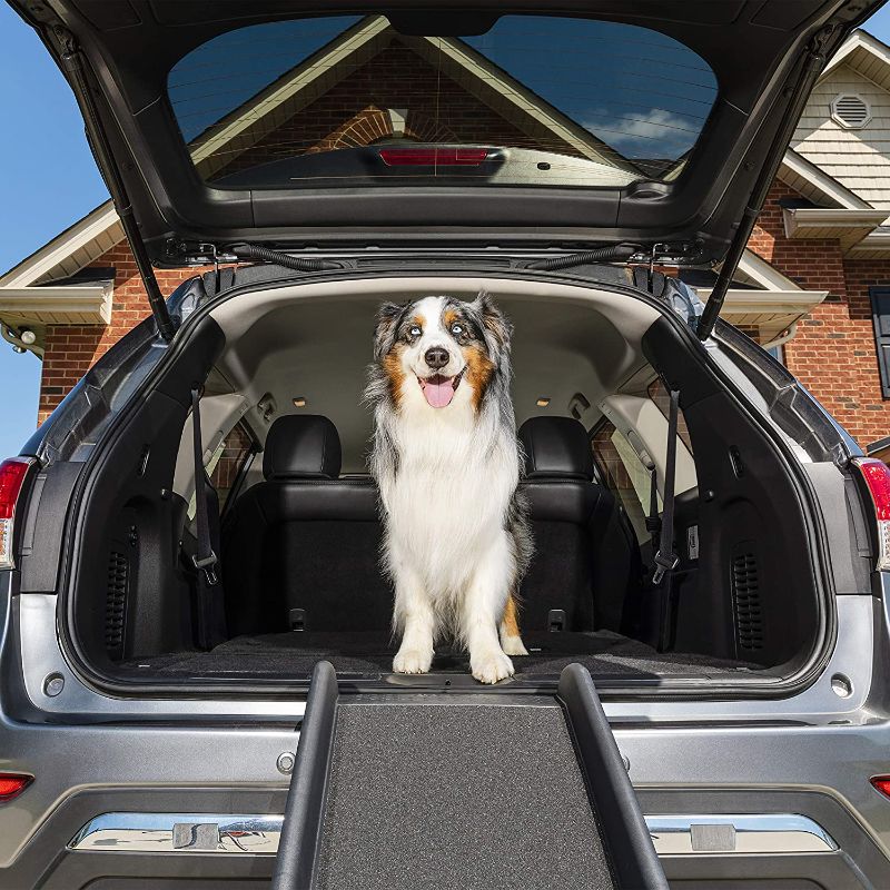 Photo 1 of **BROKEN BUT STILL FUNCTIONS**
PetSafe Happy Ride Folding Pet Ramp, 62 Inch, Portable Lightweight Dog and Cat Ramp, Great for Cars, Trucks and SUVs - Side Rails and High Traction Surface
