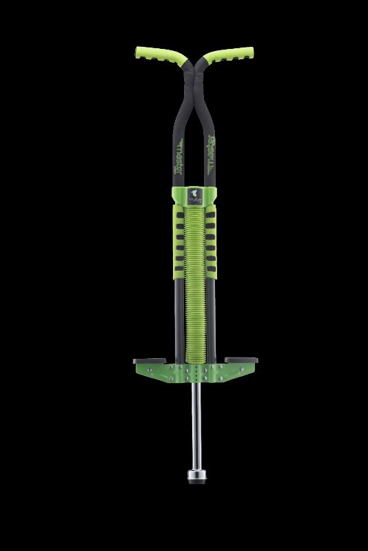 Photo 1 of Flybar Foam Master Pogo Black/Green
