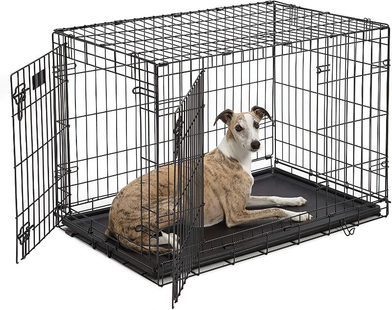 Photo 1 of AmazonBasics Double-Door Folding Metal Dog Crate - 22 Inches