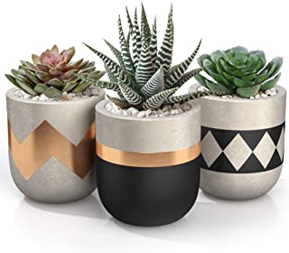 Photo 1 of 3 inch Small Succulent Pots with Drainage - Set of 3 Concrete Planter Pots for Succulent Plants - Cement Planter Cactus Pots - Use as Succulent Planter, Cactus Pot, Mini Succulent Pots, Cactus Planter