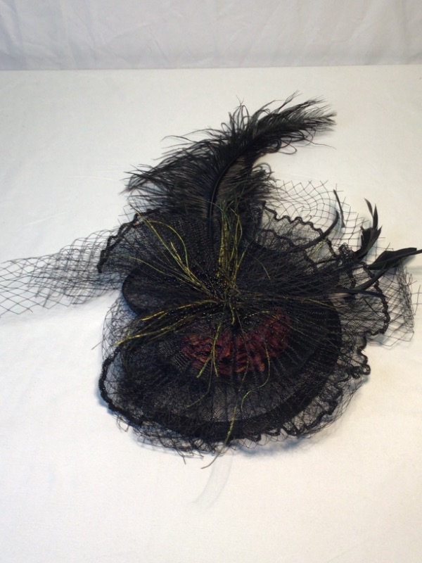 Photo 1 of Costume Feathered Hat