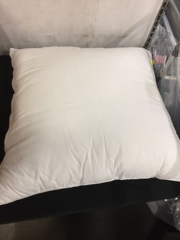 Photo 2 of 22x22 Inch Premium Pillow