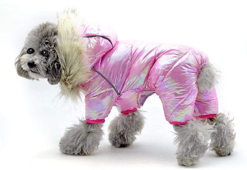 Photo 1 of  Dog Down Jacket, Dog Warm Winter Coat with Hood, Cozy & Comfy Windproof Lightweight Quilted Fall Winter Dog Puffer Jackets, Colorful Warm Pet Clothes Apparel for Puppy Small Dogs
SIZE 14