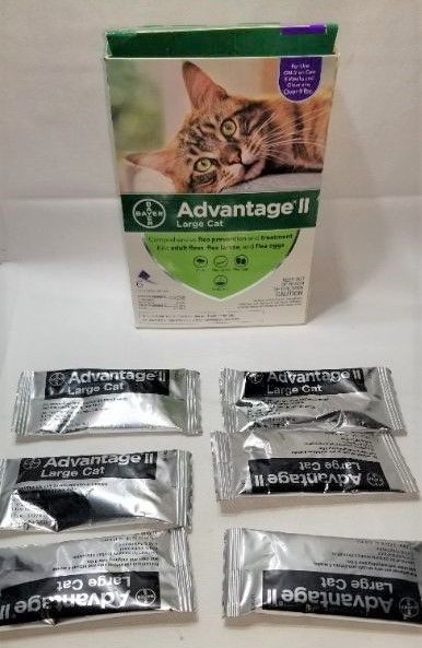 Photo 2 of Advantage II Flea Prevention for Cats and Dogs