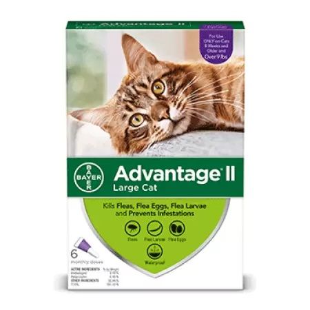 Photo 1 of Advantage II Flea Prevention for Cats and Dogs
