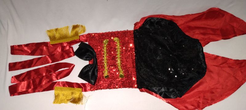 Photo 1 of costume for 18 month toddler