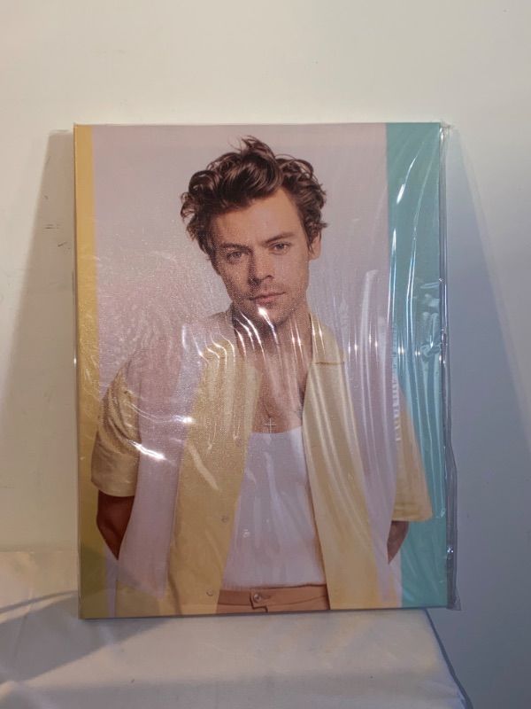 Photo 1 of harry styles wall decor, 12X16"