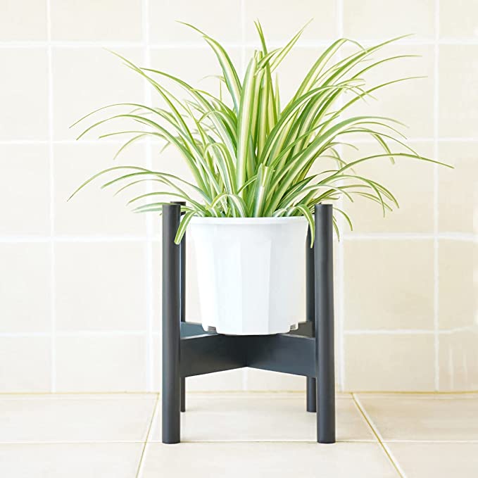 Photo 1 of BITLIFUN Plant Stand Mid Century Wood Pot Stand Indoor (Plant & Pot Not Included),Rustic Flower Pot Holder Plants Display Rack,Fits Up to 10" Pot Planter, Black-10''