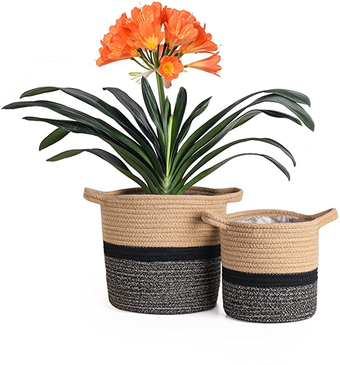 Photo 1 of Cotton Rope Planter Baskets for Indoor Plants?Modern Small Baskets for Organizing Containers, Brown & Black (10 & 12 inch)