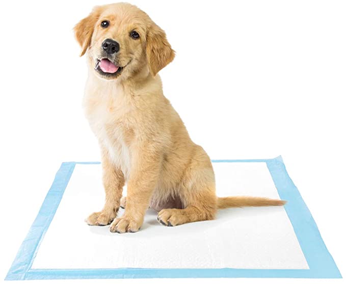 Photo 1 of Amazon Brand - Solimo Super Absorbent Puppy Pads 150 COUNT 