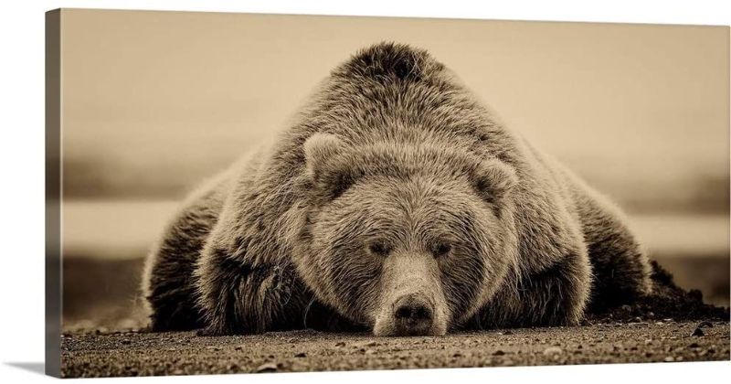 Photo 1 of GREATBIGCANVAS Deep Sleep Canvas Wall Art Print, Bear Home Decor Artwork, 48"x24"x1.5"
