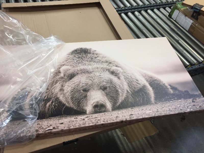 Photo 2 of GREATBIGCANVAS Deep Sleep Canvas Wall Art Print, Bear Home Decor Artwork, 48"x24"x1.5"
