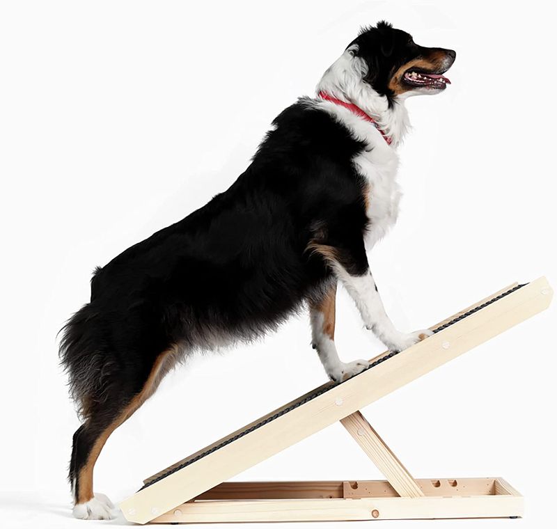 Photo 1 of AlphaPaw PawRamp Lite & Full - Adjustable Pet Ramp for Dogs and Cats - Folding Ramp for Pets with Paw Traction Mat
