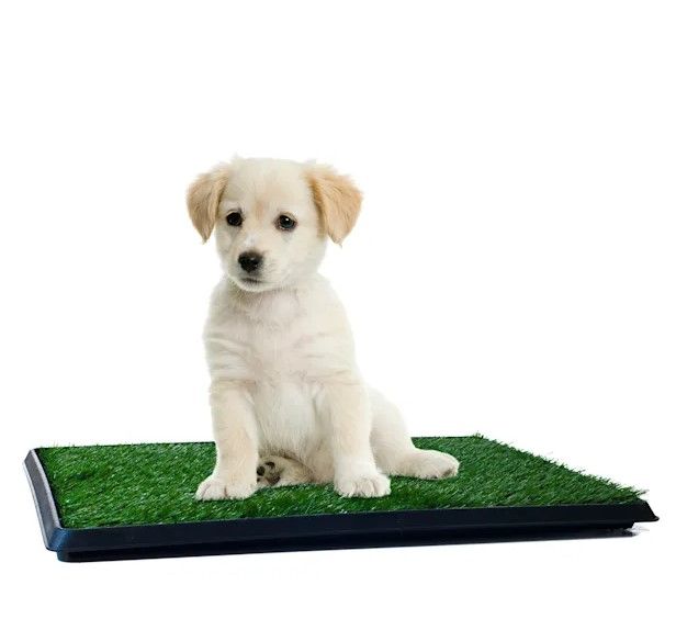 Photo 1 of PETMAKER Puppy Potty Trainer, 16" L X 20" W X 1.25" H